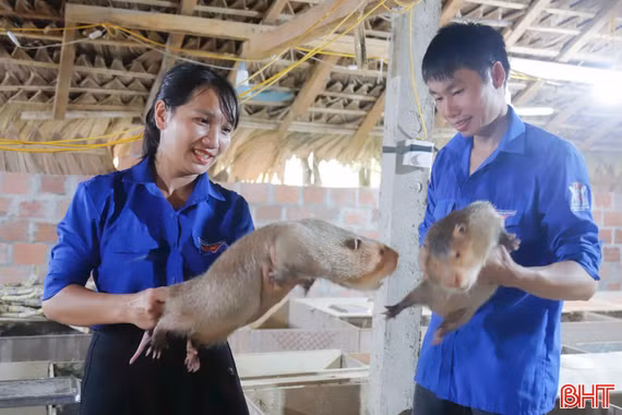 Phát triển các mô hình kinh tế thanh niên cho giá trị cao