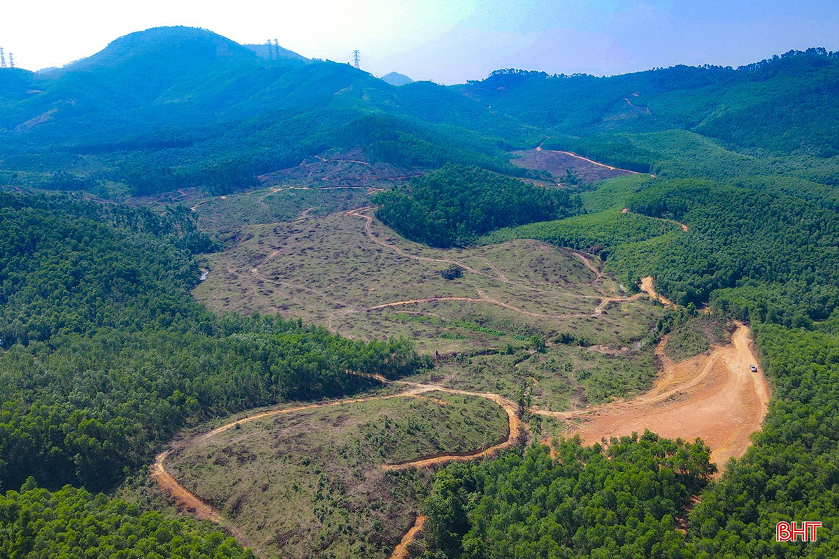 bqbht_br_adji-0986.jpg