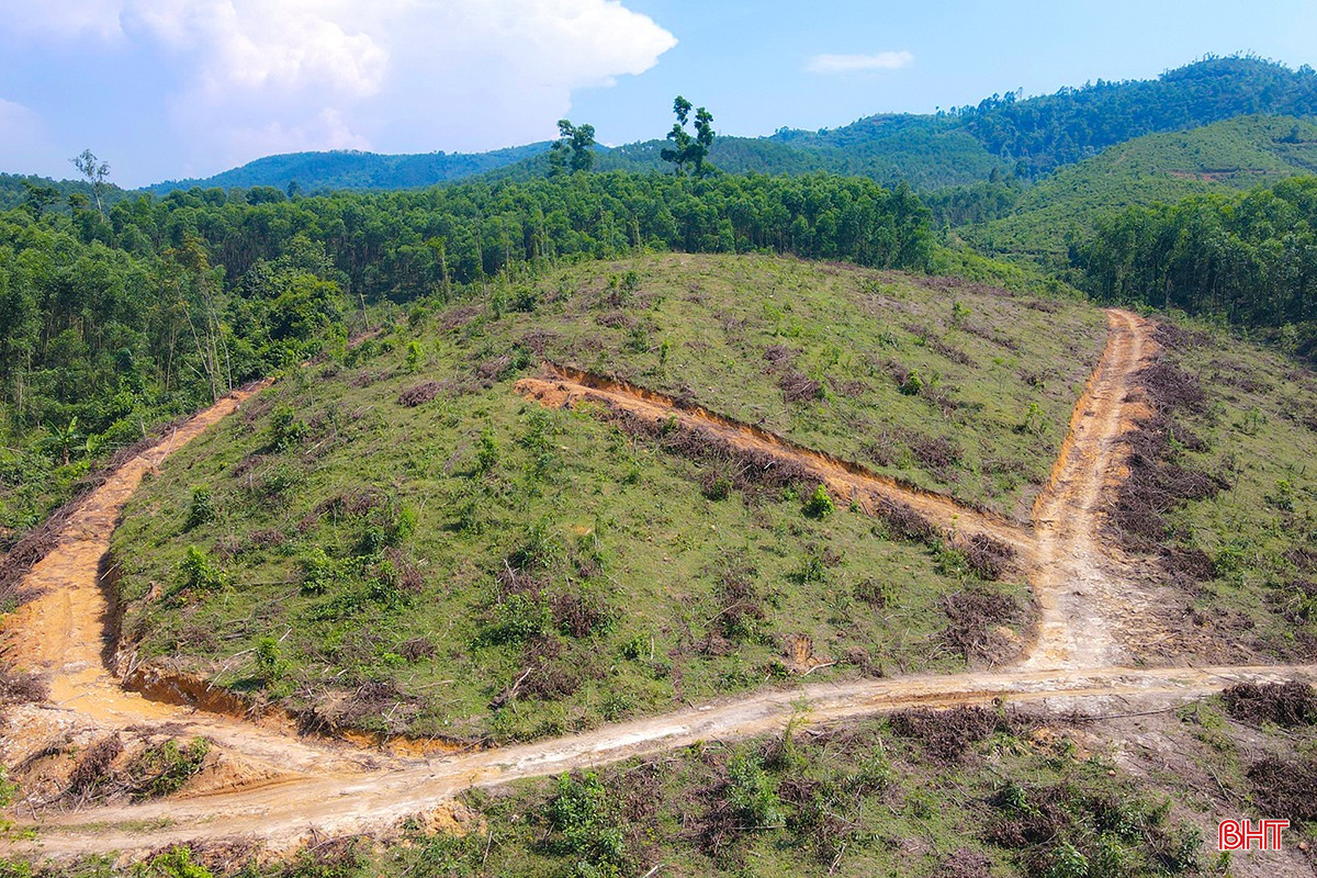 Dự kiến phân bổ quỹ đất: đất công trình dịch vụ khoảng 2,4 ha; đất sân golf 72,1 ha; bãi đỗ xe 0,8 ha; công trình hạ tầng kỹ thuật khác và phụ trợ 1 ha; mặt nước 6,9 ha; đất giao thông 3 ha.