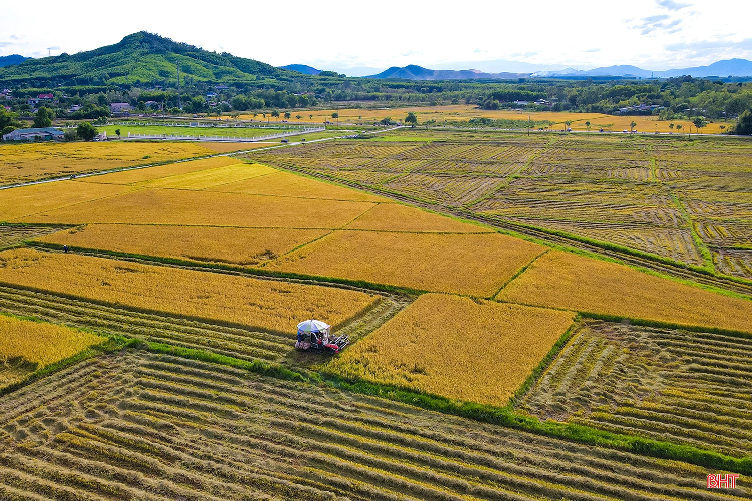 bqbht_br_0dji-0245.jpg
