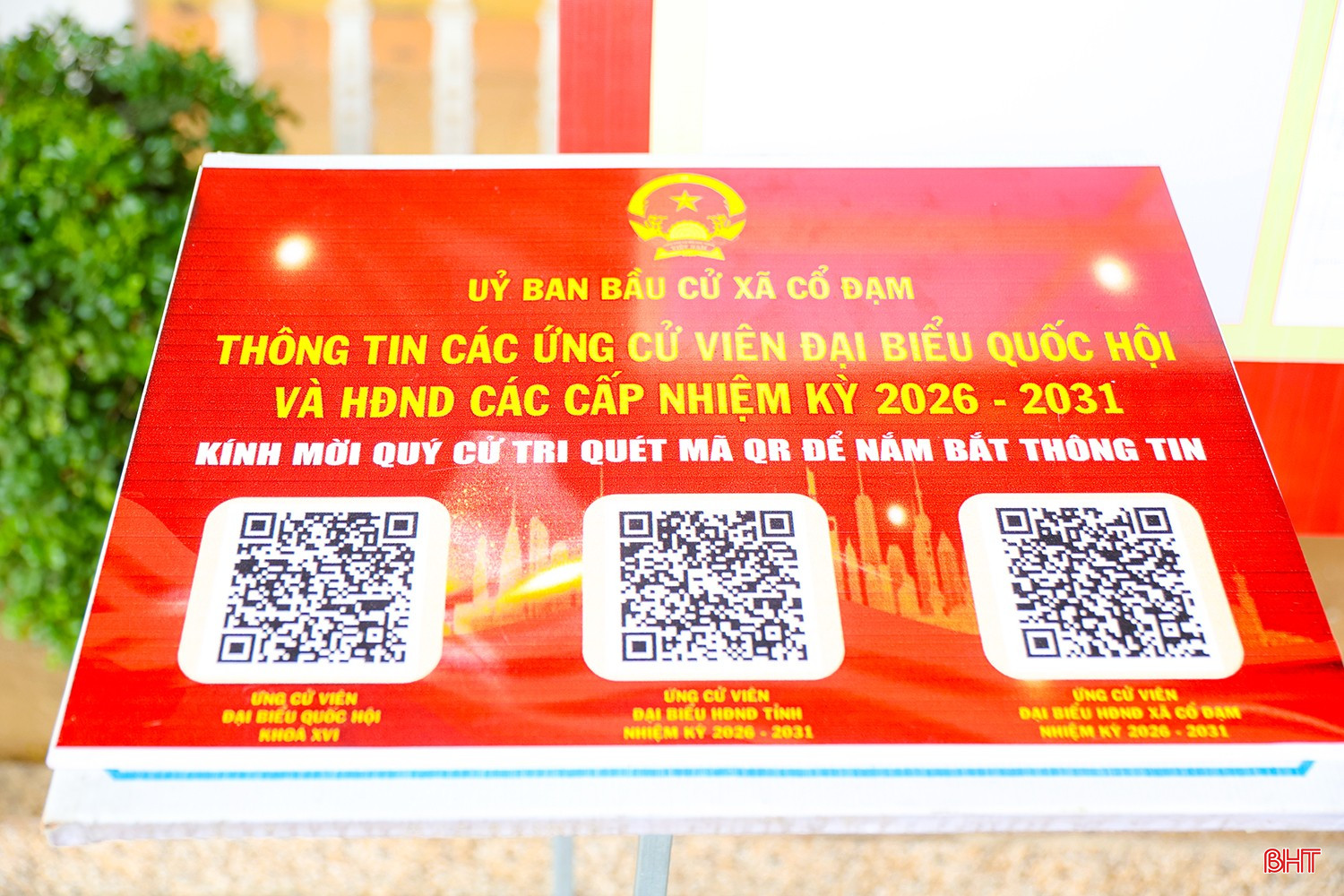 bqbht_br_aimg-4114.jpg