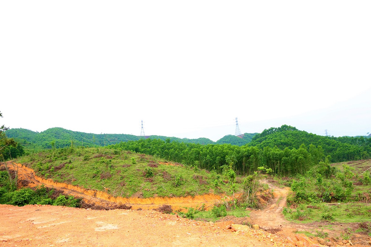 a688462813-26076808801991937-5612461181697104036-n.jpg