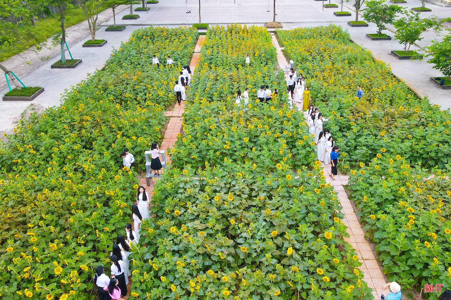 Không chỉ tô điểm cho cảnh quan, nơi đây còn lưu giữ những khoảnh khắc đáng nhớ của tuổi học trò dưới mái trường Nguyễn Đình Liễn.