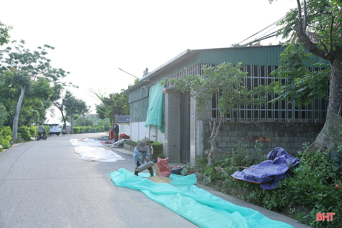 bqbht_br_aimg-2589.jpg