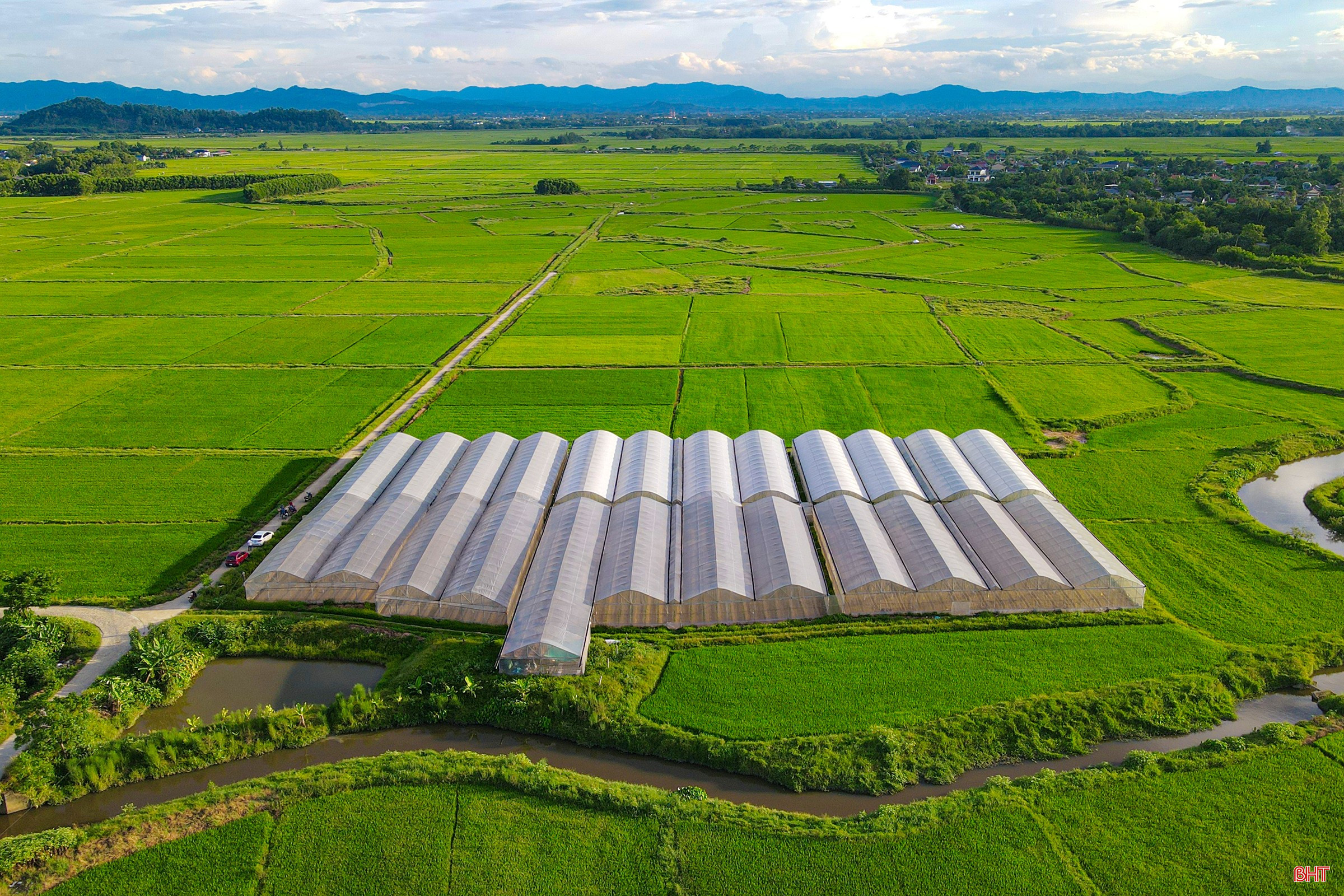bqbht_br_0dji-0825.jpg