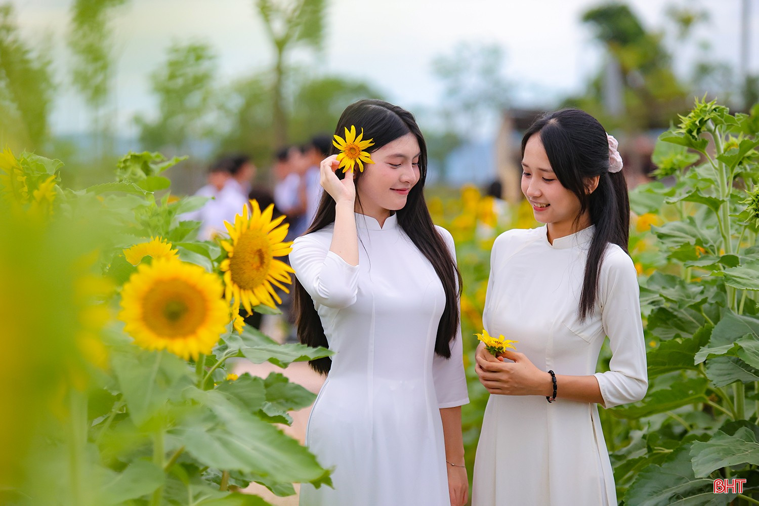bqbht_br_aimg-2892.jpg