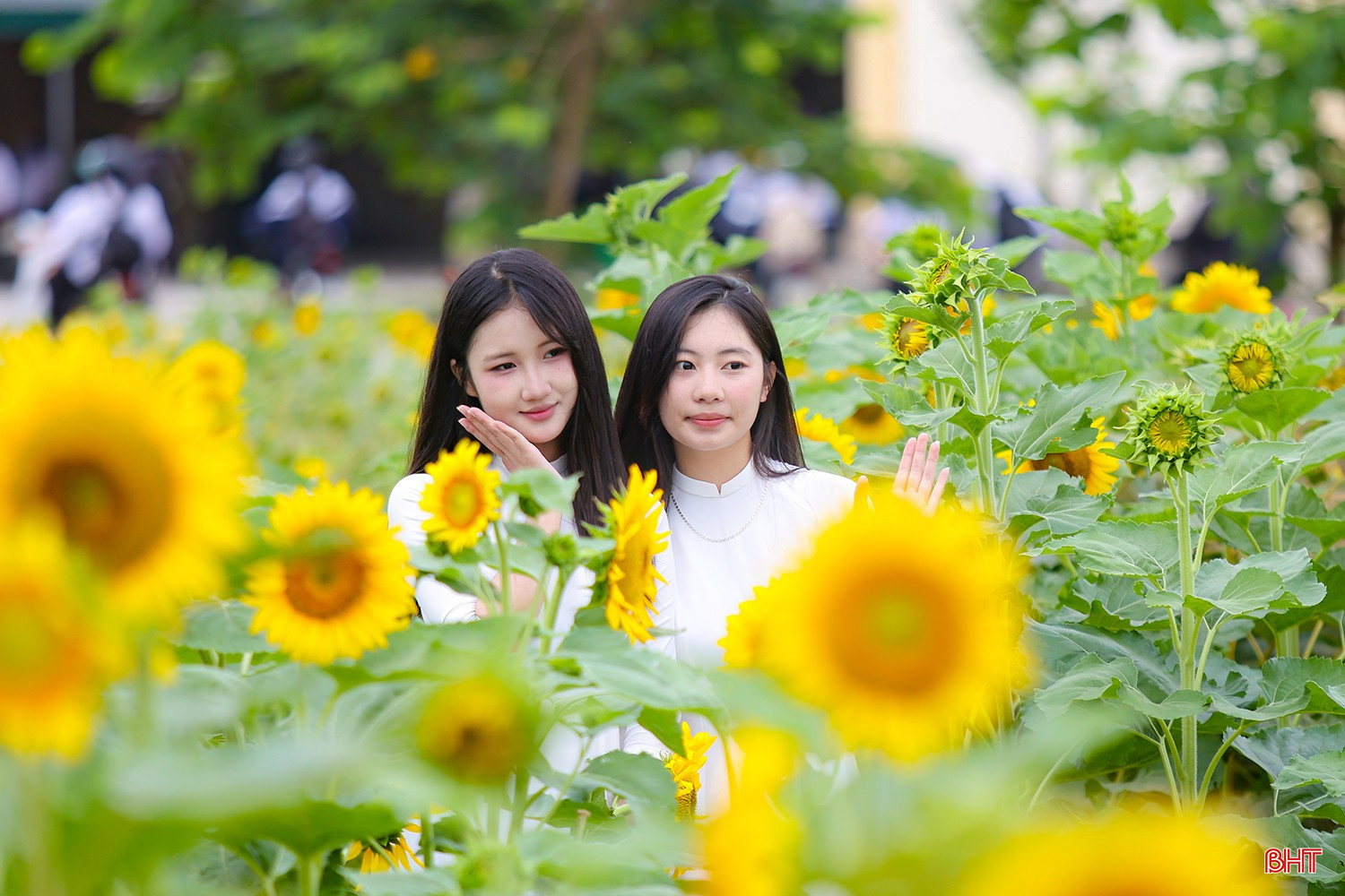 bqbht_br_aimg-3022.jpg