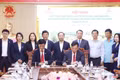 Hà Tĩnh và Nafoods Group hợp tác phát triển chuỗi sản xuất, chế biến dứa và nông sản