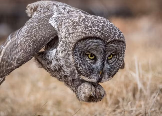loat anh cua natgeo nhac nho chung ta ve the gioi xinh dep ngoai kia