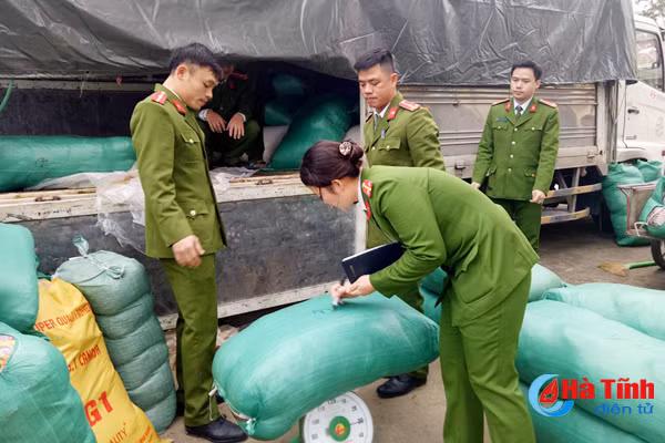 them 6 tan hat huong duong hang khong ro nguon goc bi thu giu