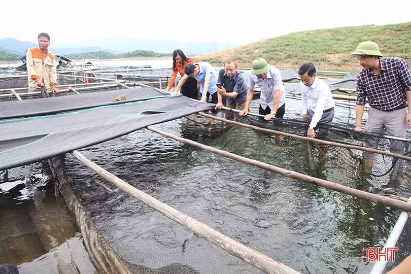 Tập trung chỉ đạo đẩy nhanh tiến độ vụ hè thu, sớm xây dựng phương án ứng phó thiên tai