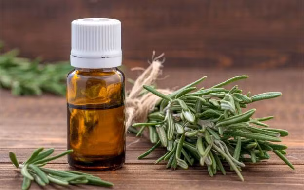8 biện pháp tự nhiên giúp giảm rụng tóc