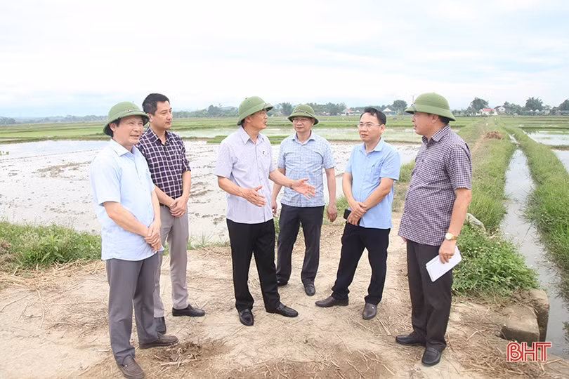 Tập trung chỉ đạo đẩy nhanh tiến độ vụ hè thu, sớm xây dựng phương án ứng phó thiên tai