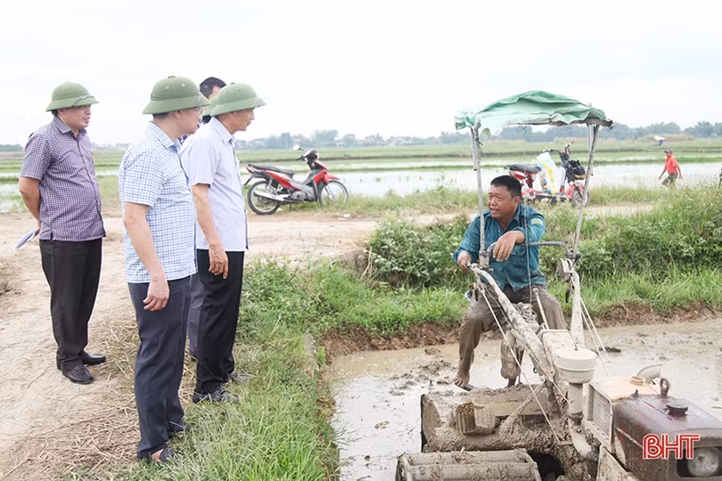 Tập trung chỉ đạo đẩy nhanh tiến độ vụ hè thu, sớm xây dựng phương án ứng phó thiên tai