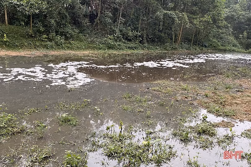 Hương Khê yêu cầu đình chỉ trang trại chăn nuôi xả thải gây ô nhiễm môi trường