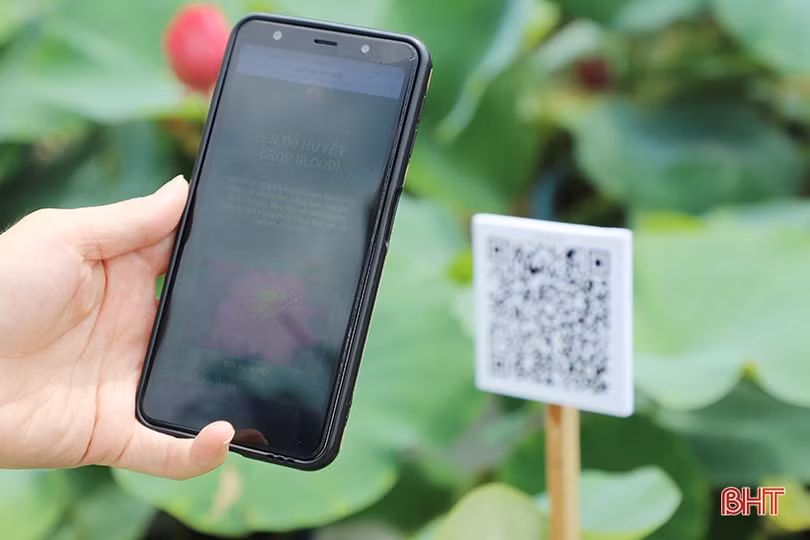 Đa dạng các hoạt động kỷ niệm 15 năm thành lập thành phố Hà Tĩnh