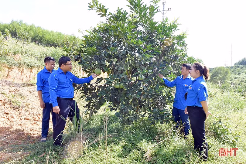 Đánh thức khát vọng khởi nghiệp của thanh niên Hương Khê