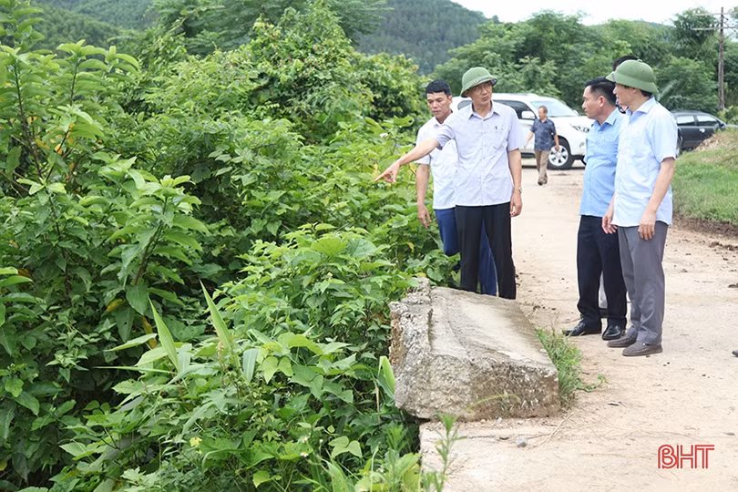 Tập trung chỉ đạo đẩy nhanh tiến độ vụ hè thu, sớm xây dựng phương án ứng phó thiên tai