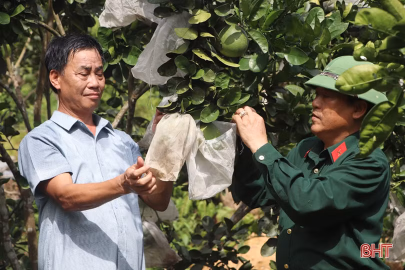 “Học Bác, tôi không ngừng nỗ lực thay đổi cuộc sống gia đình và cộng đồng