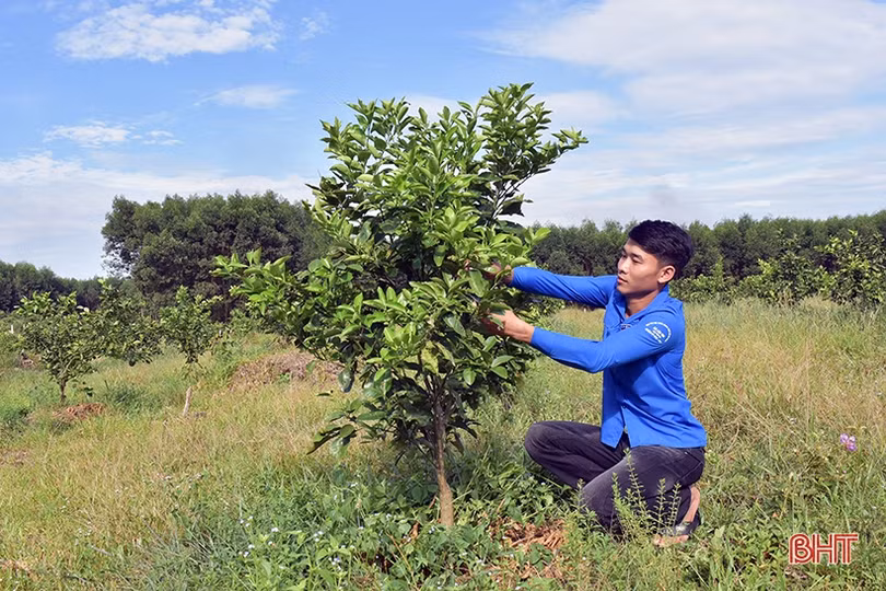 Đánh thức khát vọng khởi nghiệp của thanh niên Hương Khê