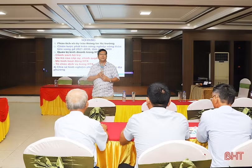 Trang bị kiến thức cho Hợp tác xã Hà Tĩnh nâng cao sản xuất chuỗi giá trị