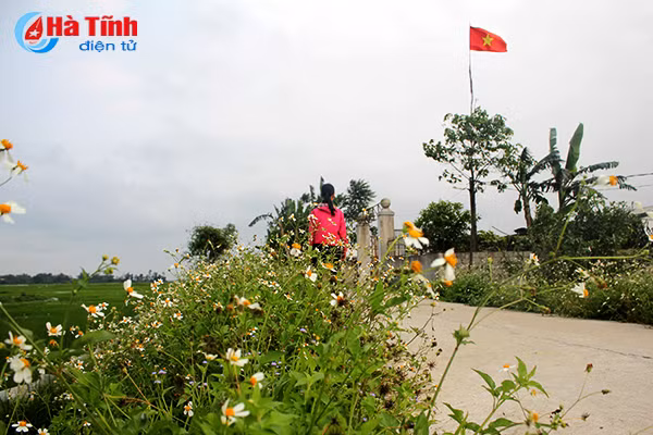 photo tinh khoi canh mong xuyen chi khap mien que ha tinh