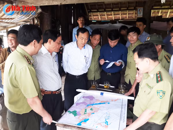 xu ly nghiem viec khai thac rung trai phep tai tieu khu 361 va 366