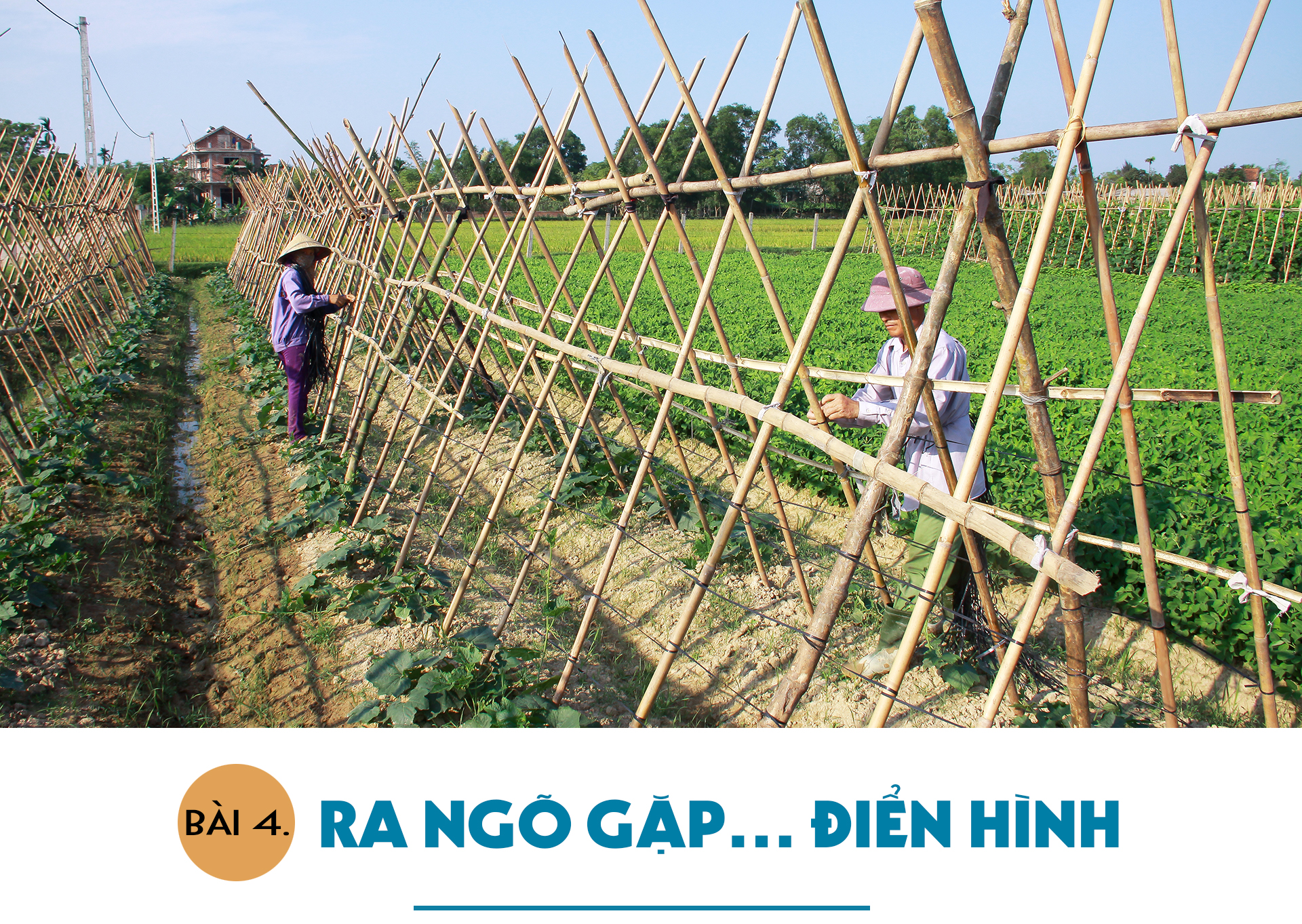 Nông thôn mới Hà Tĩnh – mới từ ý Đảng, lòng dân (Bài 4): Ra ngõ gặp... điển hình