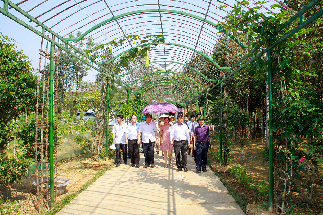 Nông thôn mới Hà Tĩnh – mới từ ý Đảng, lòng dân (Bài 4): Ra ngõ gặp... điển hình