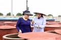 Cơ sở chế biến thuỷ, hải sản bứt tốc sản xuất phục vụ tết