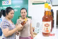 Làng nghề nước mắm, điểm đến thu hút du khách