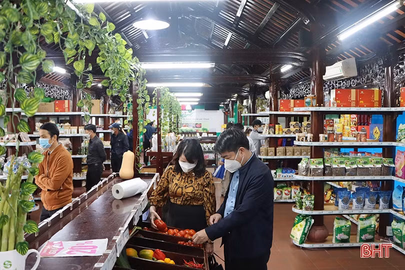 Cẩm Xuyên học tập mô hình sản xuất nông nghiệp hữu cơ của Tập đoàn Quế Lâm