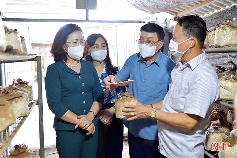 Phó Chủ tịch Trung ương Hội Nông dân Việt Nam: Nông nghiệp Hà Tĩnh đang đi đúng hướng