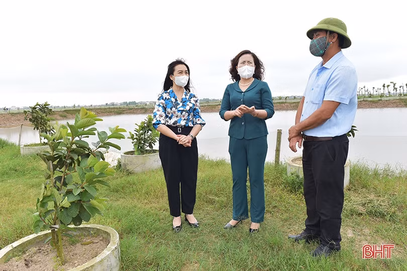 Phó Chủ tịch Trung ương Hội Nông dân Việt Nam: Nông nghiệp Hà Tĩnh đang đi đúng hướng
