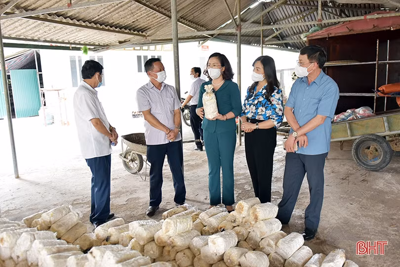 Phó Chủ tịch Trung ương Hội Nông dân Việt Nam: Nông nghiệp Hà Tĩnh đang đi đúng hướng