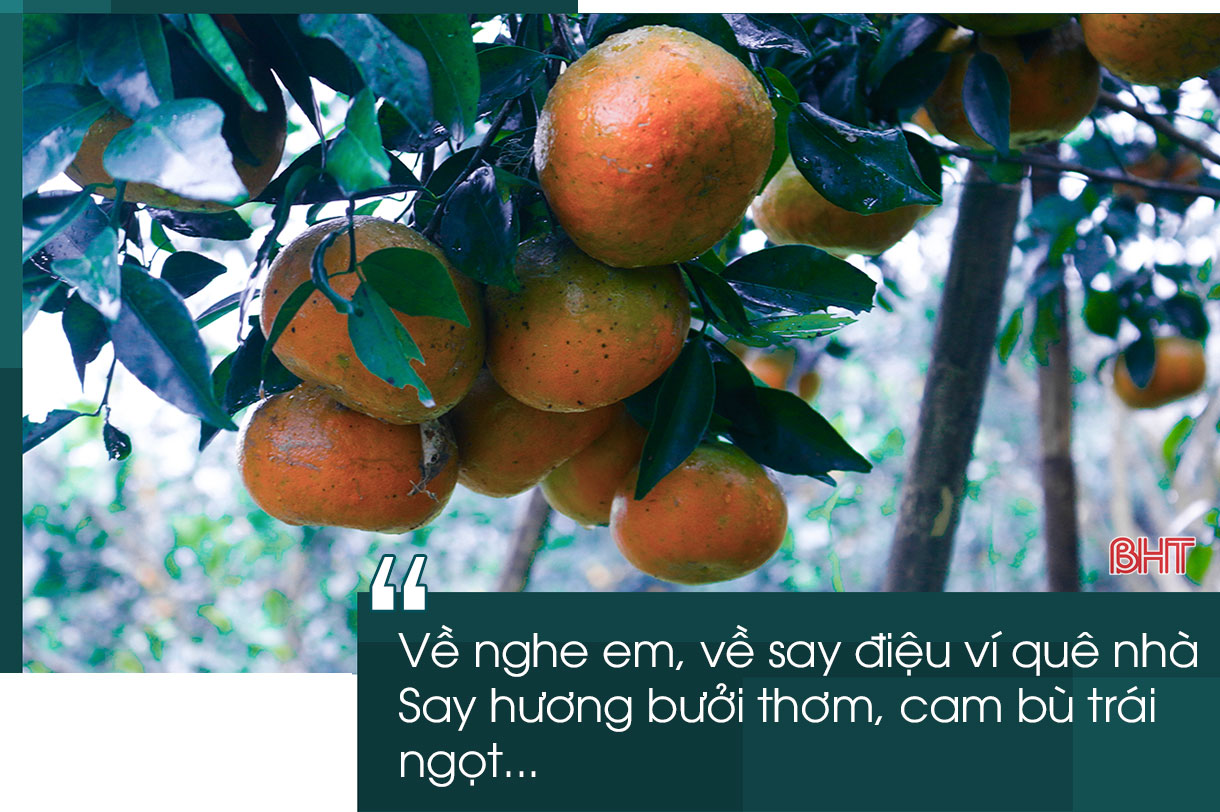 Mình về Hà Tĩnh nghe em...