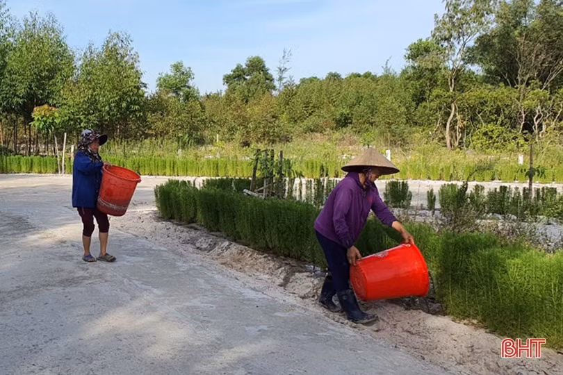 Thạch Hà linh hoạt xây dựng nông thôn mới trong điều kiện dịch bệnh Covid-19