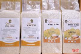 Nâng tầm sản phẩm gạo Kỳ Anh - Hà Tĩnh