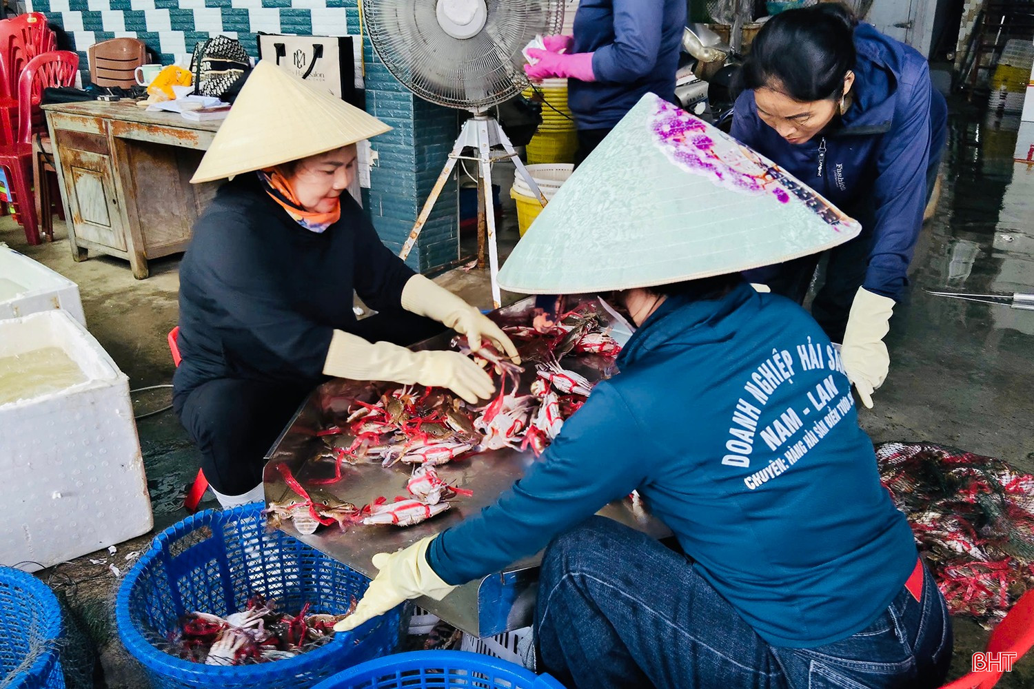Tiểu thương nhanh chóng phân loại số ghẹ đã mua.