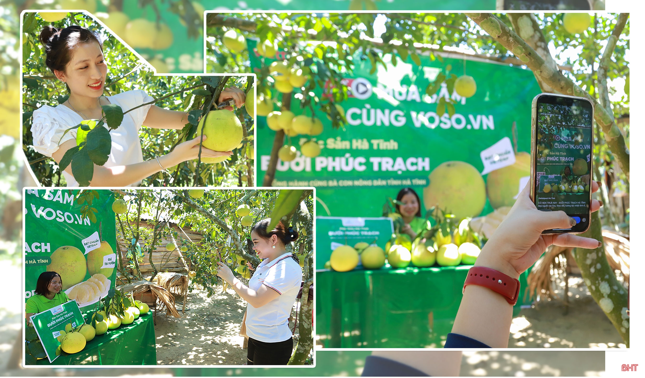 Chương trình OCOP - “đòn bẩy” phát triển kinh tế nông thôn (bài 3): Để chương trình OCOP là trọng tâm phát triển kinh tế nông thôn