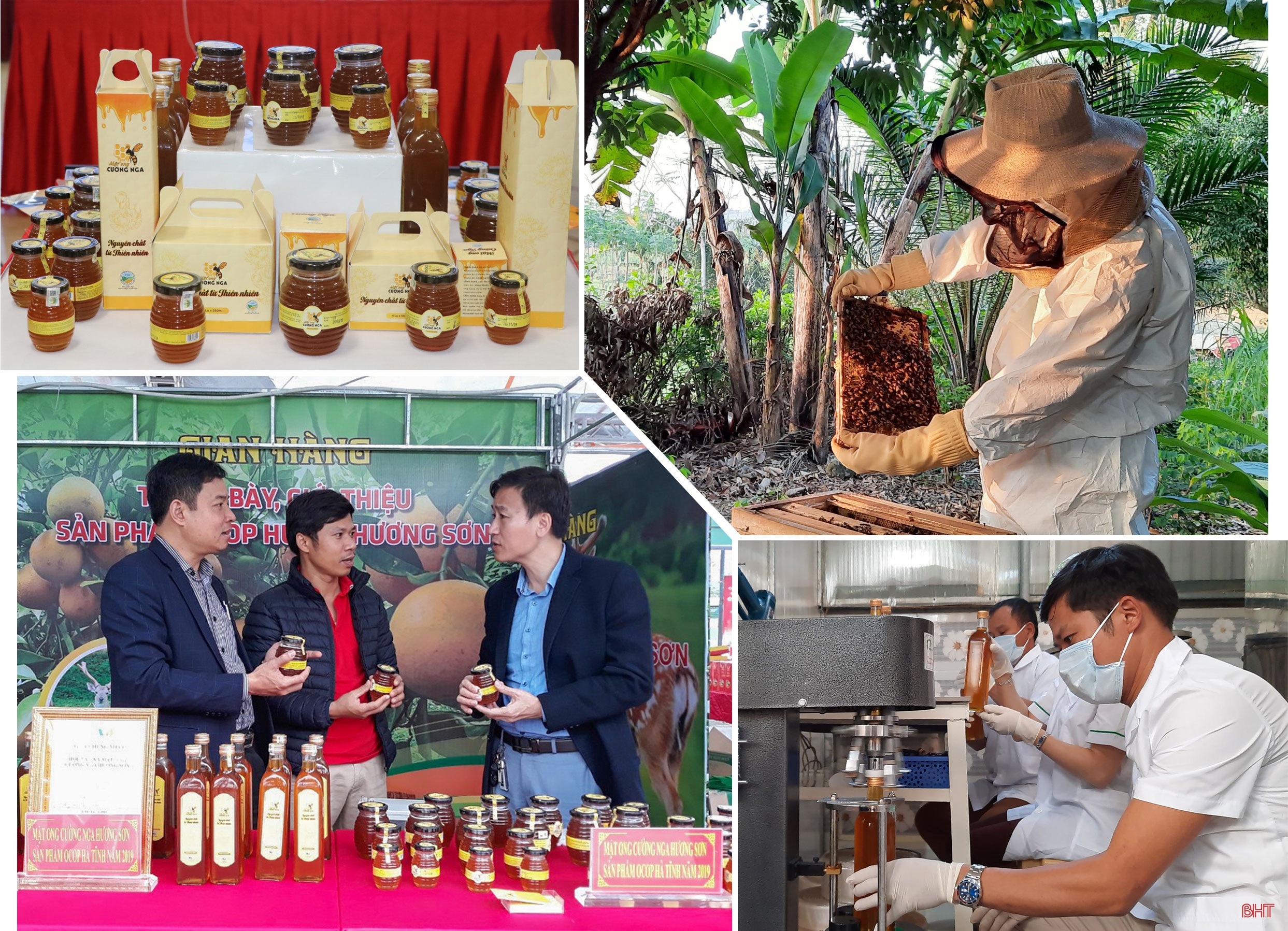 Chương trình OCOP - “đòn bẩy” phát triển kinh tế nông thôn (bài 3): Để chương trình OCOP là trọng tâm phát triển kinh tế nông thôn