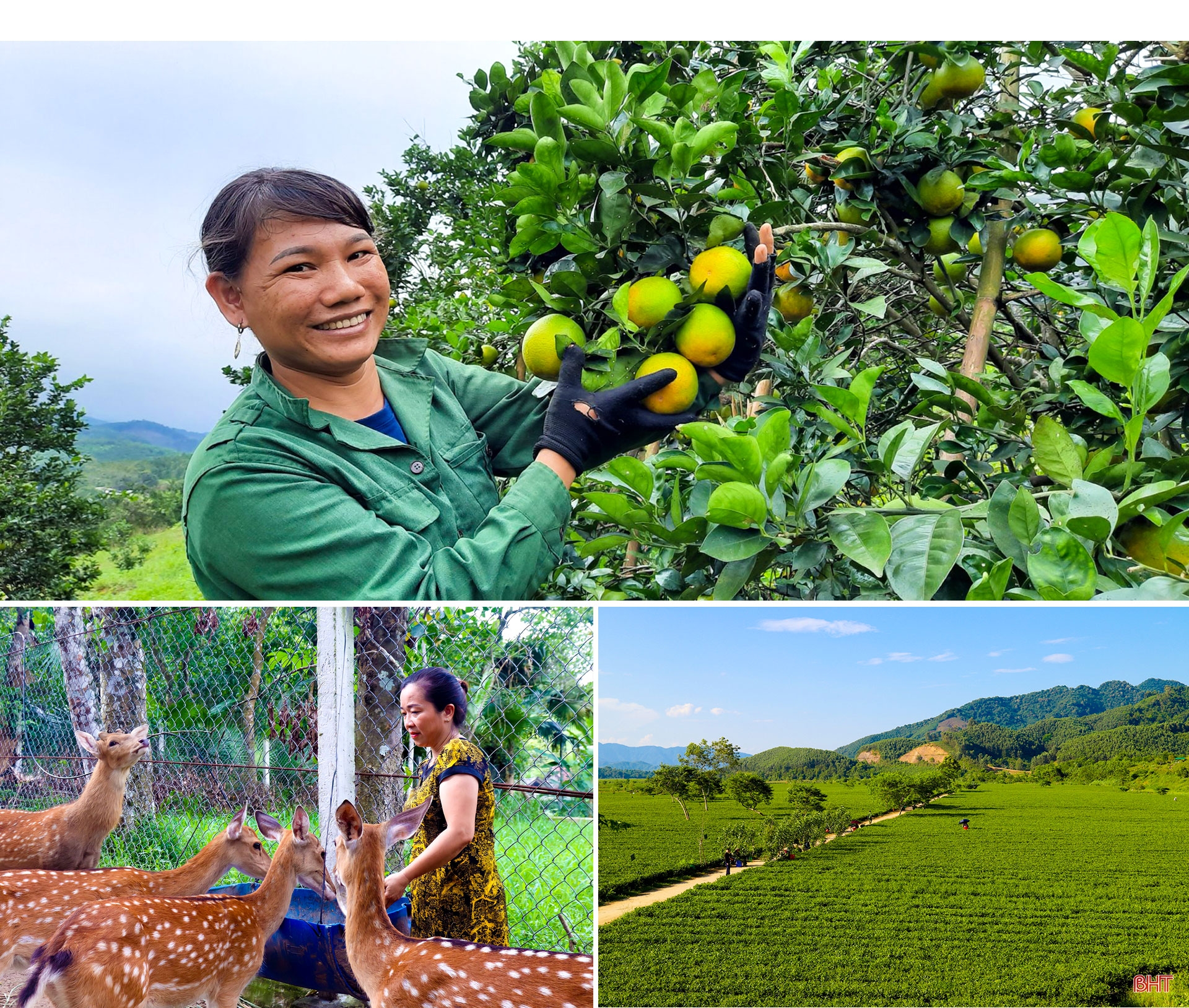 Chuyện chưa kể trong hành trình xây dựng huyện nông thôn mới Hương Sơn