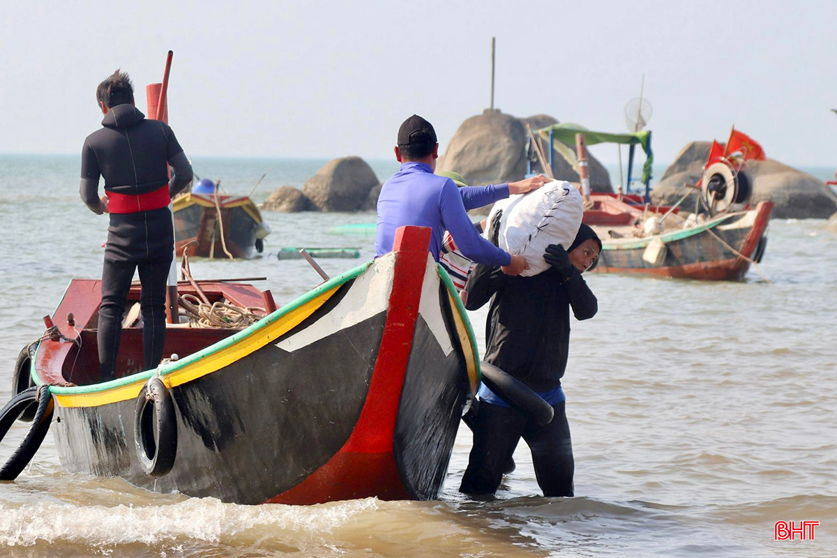 Thuyền vừa cập bến, ngư dân Nguyễn Văn Ninh (thôn Nguyễn Huệ) đã vội mang hàng tạ sò lông lên bờ để kịp bán cho thương lái. Ông Ninh cho biết: "Chuyến này, thuyền tôi khai thác được hơn 2 tạ sò lông, thu về gần 5 triệu đồng. Hải sản vào mùa du lịch nên dễ bán, vừa cập bến là được thương lái thu mua ngay".
