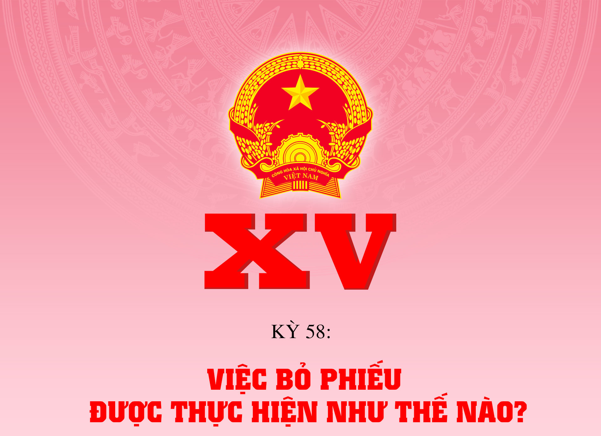 Việc bỏ phiếu được thực hiện như thế nào?