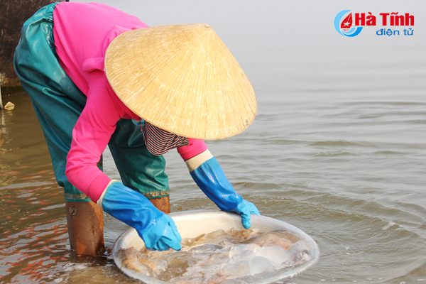 sua bien duoc gia ngu dan ha tinh vui nhu hoi