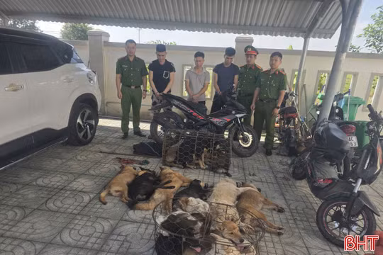Khởi tố 3 đối tượng trong đường dây trộm chó