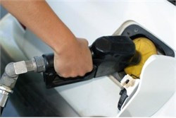 Minh họa từ internet