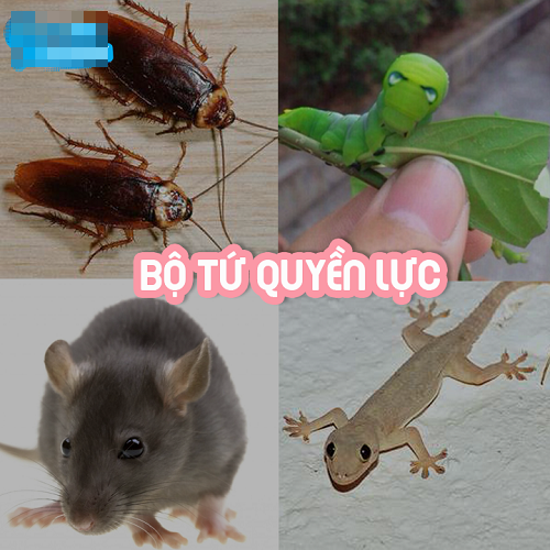 10 anh hai hot nhat facebook trong ngay