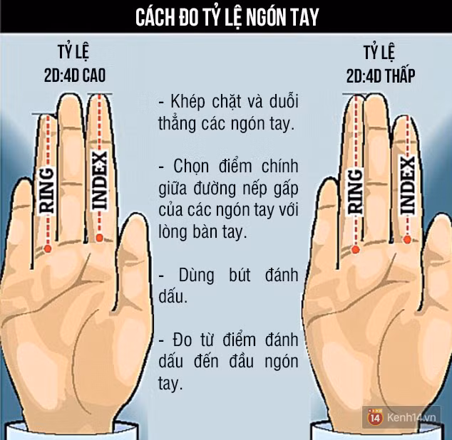 chieu dai cua ngon tay se tiet lo nhung su that bat ngo gi ve ban