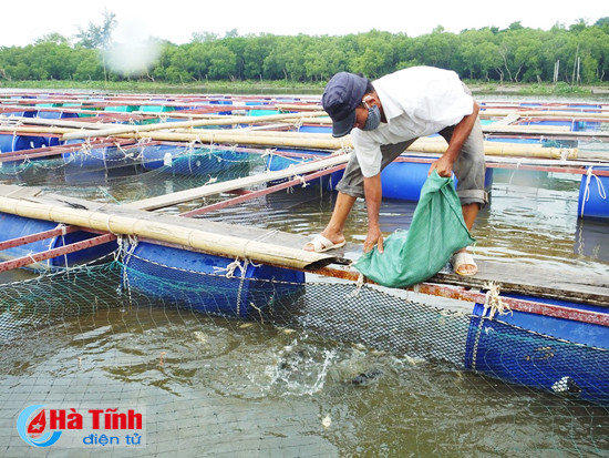 be ca vua ngao phap phu theo con